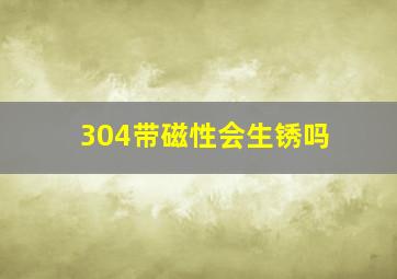 304带磁性会生锈吗