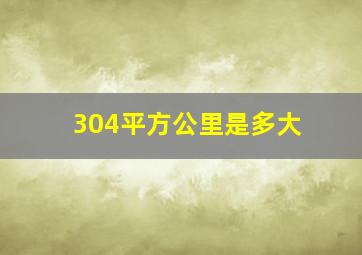 304平方公里是多大