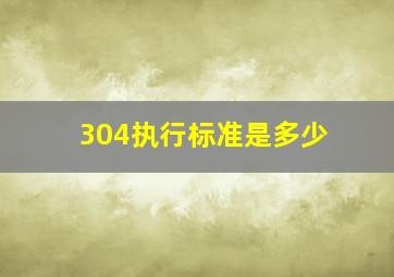 304执行标准是多少