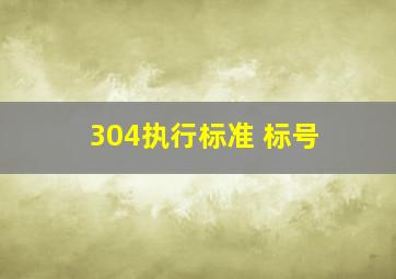 304执行标准 标号