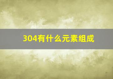 304有什么元素组成