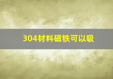 304材料磁铁可以吸