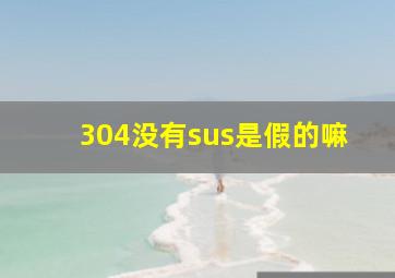 304没有sus是假的嘛