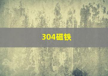 304磁铁