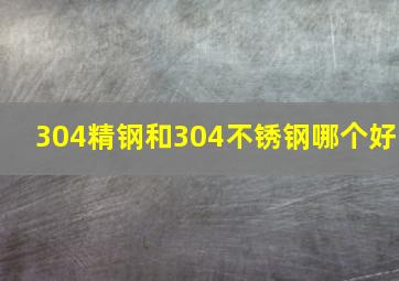 304精钢和304不锈钢哪个好