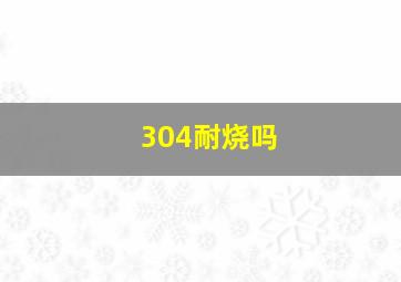 304耐烧吗