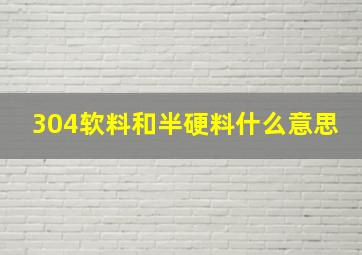 304软料和半硬料什么意思