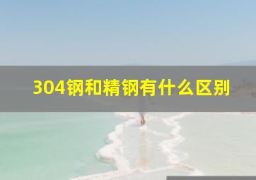 304钢和精钢有什么区别