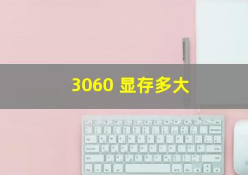 3060 显存多大