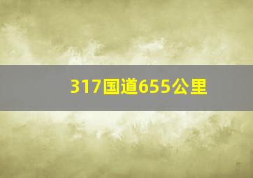 317国道655公里