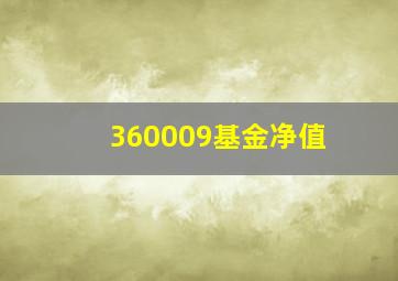 360009基金净值