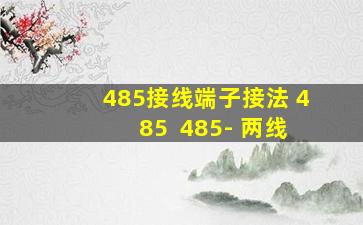 485接线端子接法 485+ 485- 两线