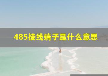 485接线端子是什么意思