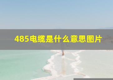 485电缆是什么意思图片