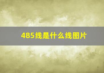 485线是什么线图片