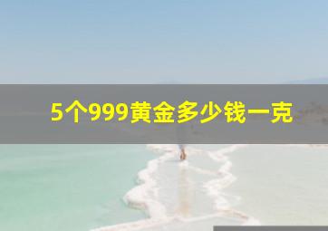 5个999黄金多少钱一克