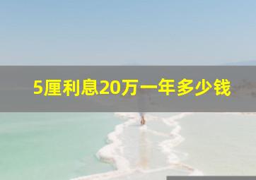 5厘利息20万一年多少钱