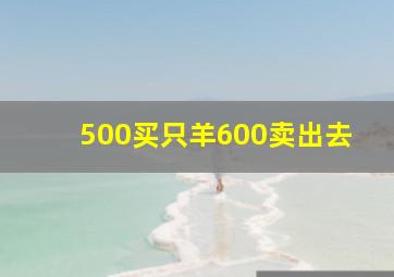 500买只羊600卖出去