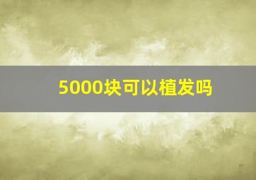 5000块可以植发吗