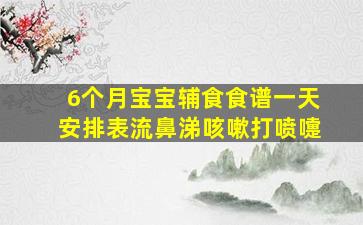 6个月宝宝辅食食谱一天安排表流鼻涕咳嗽打喷嚏