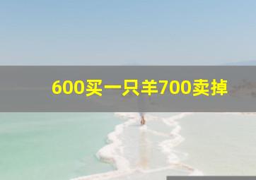 600买一只羊700卖掉