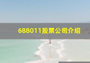 688011股票公司介绍