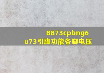 8873cpbng6u73引脚功能各脚电压