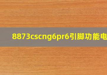 8873cscng6pr6引脚功能电压