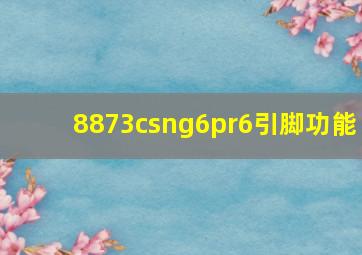 8873csng6pr6引脚功能