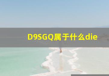 D9SGQ属于什么die