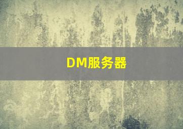 DM服务器