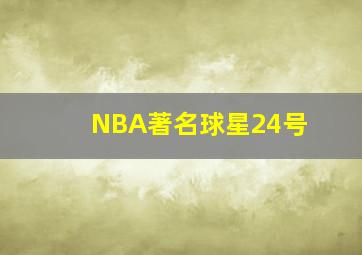 NBA著名球星24号