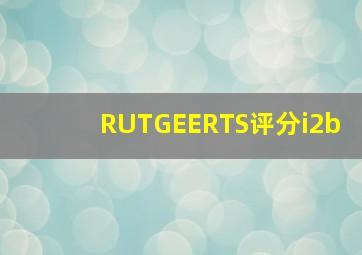 RUTGEERTS评分i2b