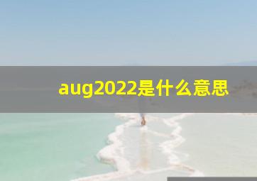 aug2022是什么意思