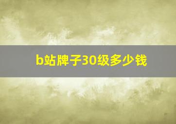 b站牌子30级多少钱