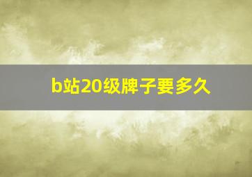 b站20级牌子要多久