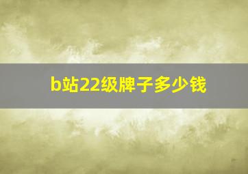 b站22级牌子多少钱