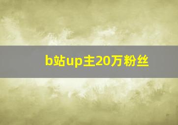 b站up主20万粉丝