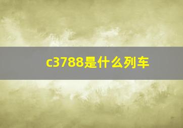 c3788是什么列车