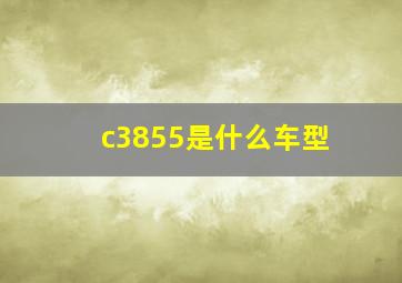 c3855是什么车型