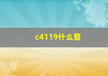 c4119什么管