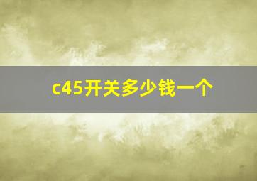 c45开关多少钱一个