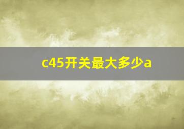 c45开关最大多少a