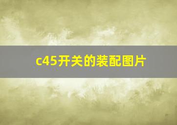 c45开关的装配图片