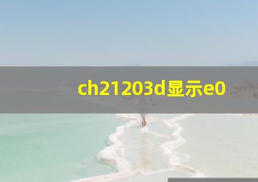 ch21203d显示e0