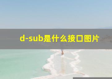 d-sub是什么接口图片