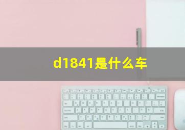 d1841是什么车