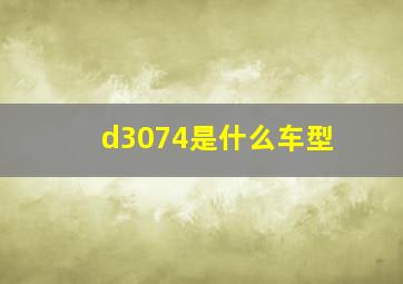 d3074是什么车型