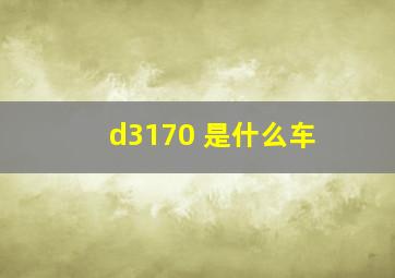 d3170 是什么车