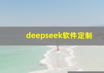 deepseek软件定制